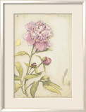 Peony III