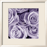 Bunch of Flowers III