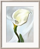 Calla Lily Turned Away  1923