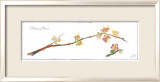 Quince Branch
