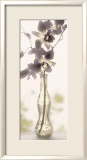 Charming Orchid