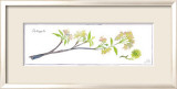 Crabapple Branch