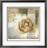 Globeflower Fresco II