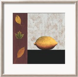 Lemon and Leaves