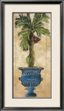 Potted Palm III
