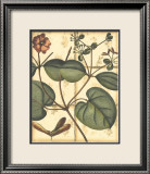 Rustic Garden III