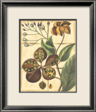 Rustic Garden II