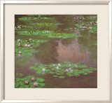 Water Lilies