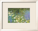 Water Lilies of the Orangerie as Giverny