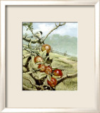 Red Orchard