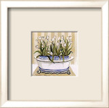 Tulip Tub