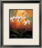 Orchids