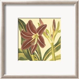 Poetic Blossoms II