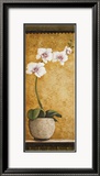 Hanna's Orchids I