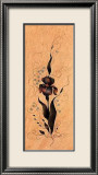 Iris I