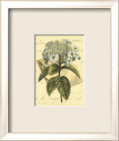 Romantic Bouquet III