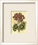 Romantic Bouquet IV