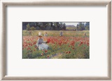 In Flanders Fields