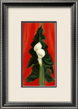 Calla Lilies on Red  1928
