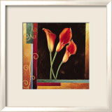 Orange Callas