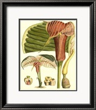 Botanical Fantasy II