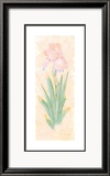 Iris Soliloquy I