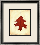 Oak Leaf