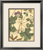 Rustic Garden I