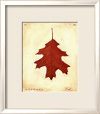 Oak Leaf
