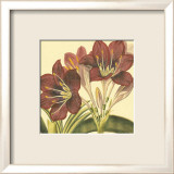 Poetic Blossoms I