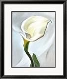 Calla Lily Turned Away  1923
