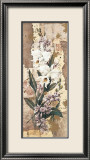 White Orchid