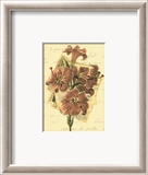 Romantic Bouquet II