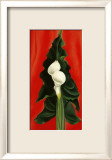 Calla Lilies on Red  1928