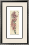Orchid with Branch