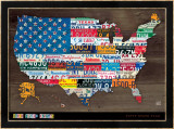 Fifty State Flag