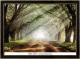 Evergreen Plantation