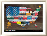 Fifty State Flag