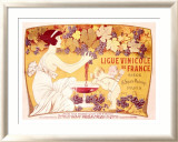 Ligue Vinicole de France
