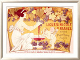 Ligue Vinicole de France