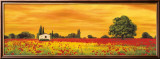 Field of Poppies
