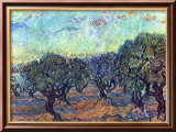 The Olive Grove  c1889