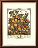 Twelve Months of Fruits  1732  July