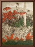 Sao Francisco