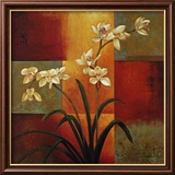 White Orchid