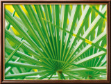 Palm Leaf