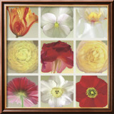 Floral Collection