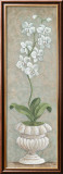 Lavish Orchids I