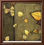 Wet Pavement IV
