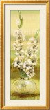 Gladiolas